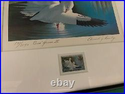 1970 RW37 Federal Duck Stamp Print Ross Geese by Edward Bierly 2nd Edition
