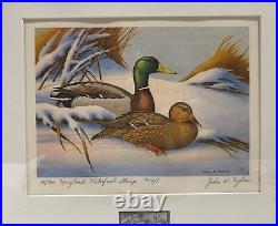 1974 MARYLAND State Duck Stamp Print JOHN TAYLOR First of State