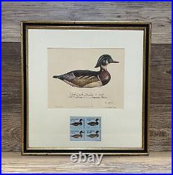 1974 MASSACHUSETTS State Duck Stamp Print FIRST OF STATE