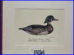 1974 MASSACHUSETTS State Duck Stamp Print FIRST OF STATE