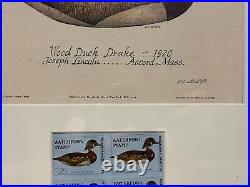 1974 MASSACHUSETTS State Duck Stamp Print FIRST OF STATE