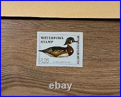 1974 MASSACHUSETTS State Duck Stamp Print FIRST OF STATE with STAMP