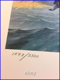 1978, Les Kouba, 1593/3500, Minnesota #2. Duck Print, With No Stamp, Mint Print