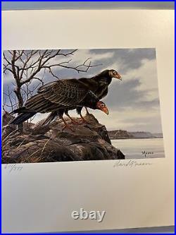 1980, Buzzard Stamp Print, Turkey Vulture David Maass, 601/777, Mint Stamp, folder