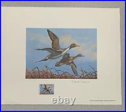 1980 OKLAHOMA State Duck Stamp Print PAT SAWYER with STAMP