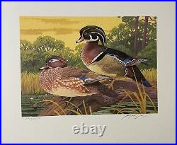 1981 SOUTH CAROLINA State Duck Stamp Print LEE LEBLANC + Stamp