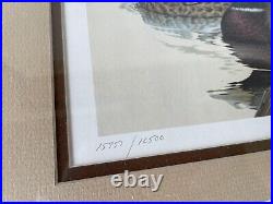 1981 TEXAS State Duck Stamp Print NUMBERED + Stamp by LARRY HAYDEN Framed