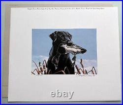 1982 National Retriever Club Stamp Print by Crowe same size as duck stamp prints
