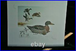 1982 Pennsylvania Duck Stamp & Print By James Fisher LIt, Edition