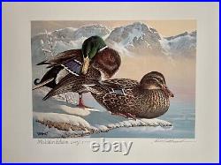 1986 & 1999 Duck Stamp Prints Artists Steiner & Warrick Medallion Editions