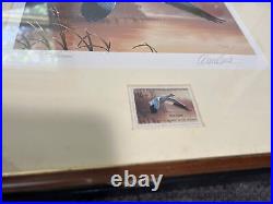 1988-1989 Federal Duck Stamp Print And Stamp Set, Daniel Smith. Framed. Mint