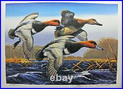 1988 Federal Waterfowl Duck Conservation Stamp Print Framed New Mint Redhead S/N