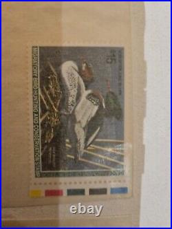 1994-1995 federal waterfowl stamp print