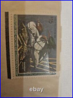 1994-1995 federal waterfowl stamp print