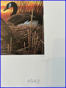 1994 Michigan Duck Stamp Print In for the evening Harry Antis S/n Limited