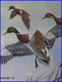 1 Of State Duck, 1980, Tennessee, Elliott, In Folder, No Stamp. Excellent, Mint
