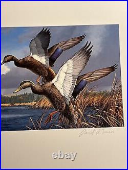 1 Of State Duck, Maine, 1984, David A. Maass, In Folder, Mint Stamp, Mint
