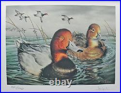 2002 Texas Waterfowl Duck Conservation Stamp Print Framed New Mint Redhead S/N