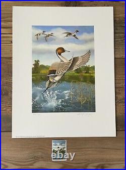 2005 CALIFORNIA State Duck Stamp Print RICH RADIGONDA with STAMP