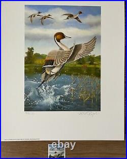 2005 CALIFORNIA State Duck Stamp Print RICH RADIGONDA with STAMP