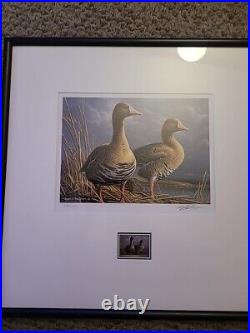 20112012 Federal Duck Stamp Print