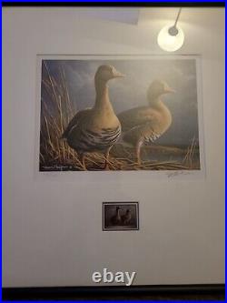 20112012 Federal Duck Stamp Print