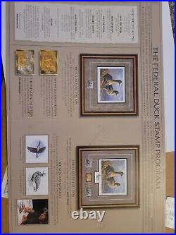 20112012 Federal Duck Stamp Print