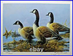 2012 Texas Waterfowl Duck Conservation Stamp Print Framed New Mint Canada Geese