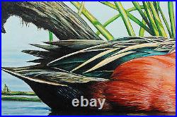 2014 Texas Waterfowl Duck Conservation Stamp Print Framed New Mint Cinnamon Teal