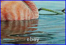 2014 Texas Waterfowl Duck Conservation Stamp Print Framed New Mint Cinnamon Teal