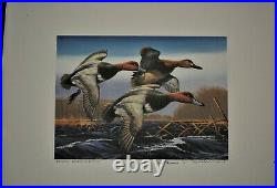 36 Duck Prints & Stamps all Excellent Condition Sold as a lot of 36 USA & Canada
