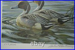 36 Duck Prints & Stamps all Excellent Condition Sold as a lot of 36 USA & Canada