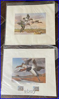80's Rhode Island Duck Stamp Print & Idaho Waterfowl Stamp Two Duck Prints