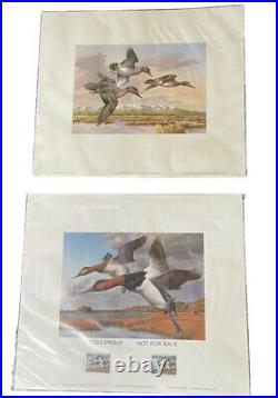 80's Rhode Island Duck Stamp Print & Idaho Waterfowl Stamp Two Duck Prints