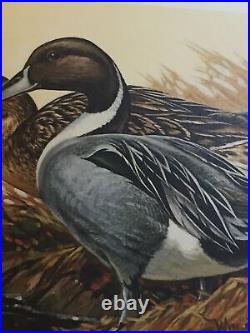 Bill Koelpin, 1982, Wisc Duck Print, 457/2300, American Pintails, No Stamp. Mint