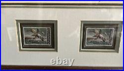 David Maass 1982 Federal Migratory Duck Stamp Print With Double Stamps
