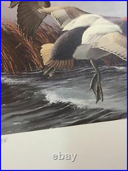 David Maass, 1984, N. Dakota Duck Print, 302/3438 Redheads, No Stamp, Mint