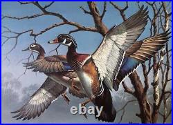 David Maass Federal Duck Stamp Print 1974 S/N Lithograph Signed MINT