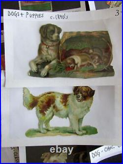 Dogs c. 1890-1925 era old printed die-cut chromos & poster stamps lot x 105
