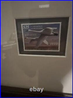 Federal Duck Stamp Print JOE HAUTMAN NICELY FRAMED