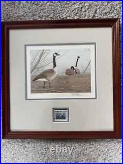 First Of State Duck Stamps/Prints Rare Collection Pristine Condition