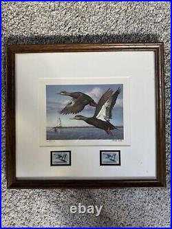 First Of State Duck Stamps/Prints Rare Collection Pristine Condition