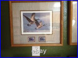 First of State Duck Stamp Prints and Stamps Complete Set
