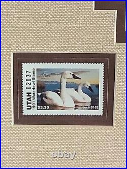 Framed 1991 Utah Gov Edition Duck Stamp Print Steiner/bangerter