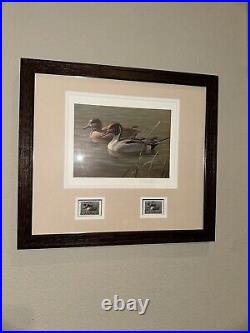 Framed Arizona 1988 Duck Stamps and Print