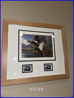 Framed Maine 1984 Duck Stamps and Print