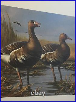 Gary Moss, 1987, Texas, White Fronted Geese, 171/7000, No Stamp, Mint