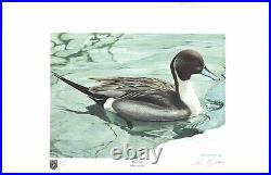 ILLINOIS 1979 #5 DUCK STAMP PRINT by John Eggert NEVER FRAMED Withstamp Reg $400