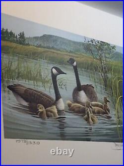 Jim Killian, 1989Vermont Waterfowl Print 1573/13,910, Canada Geese, No Stamp Mint