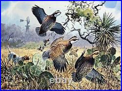 John Cowan 1991 Texas Quail Stamp Print and Stamps Mint, New Frame